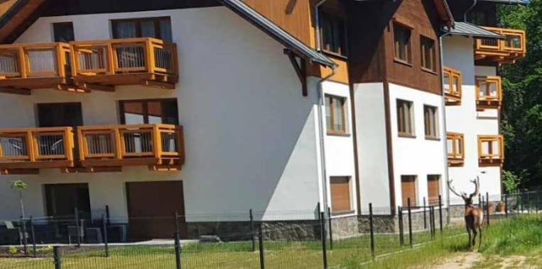 Apartament Gorski Widok Schreiberhau Exterior foto